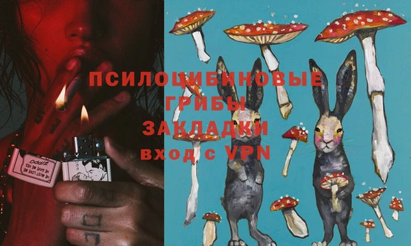 бутират Баксан